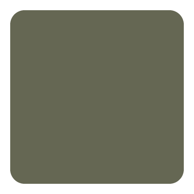 OLIVE SHADOW SIMPLE